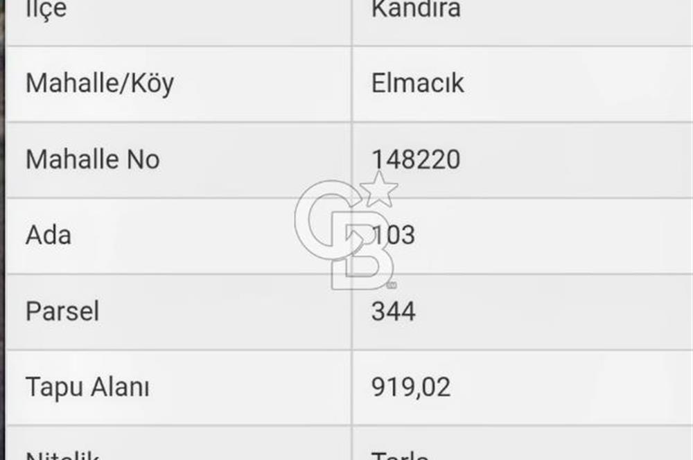 KOCAELİ KANDIRA ELMACIK'TA SATILIK TARLA