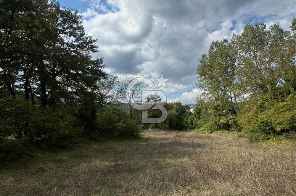 ŞİLE DEĞİRMENÇAYIRINDA 1.373 m² YOLA CEPHELİ TARLA
