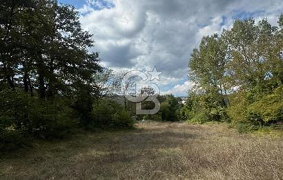 ŞİLE DEĞİRMENÇAYIRINDA 1.373 m² YOLA CEPHELİ TARLA