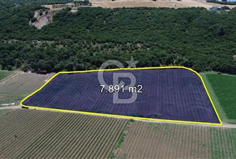 ÇANAKKALE MERKEZ HALİLELİ KÖYÜNDE SATILIK TARLA - 2 - 375549