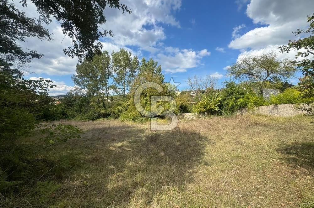 ŞİLE DEĞİRMENÇAYIRINDA 1.373 m² YOLA CEPHELİ TARLA