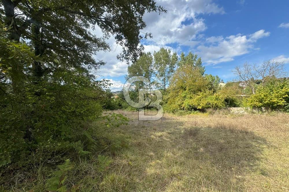 ŞİLE DEĞİRMENÇAYIRINDA 1.373 m² YOLA CEPHELİ TARLA
