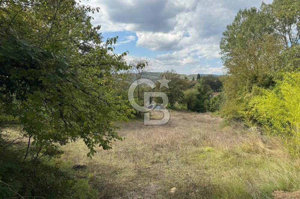 ŞİLE DEĞİRMENÇAYIRINDA 1.373 m² YOLA CEPHELİ TARLA