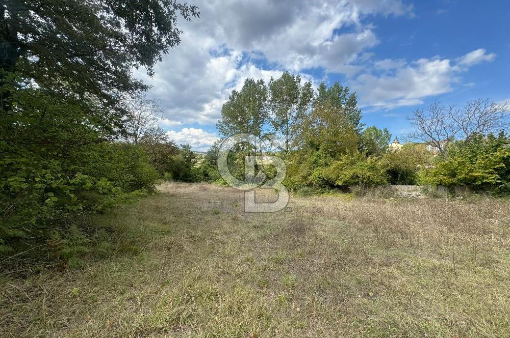 ŞİLE DEĞİRMENÇAYIRINDA 1.373 m² YOLA CEPHELİ TARLA