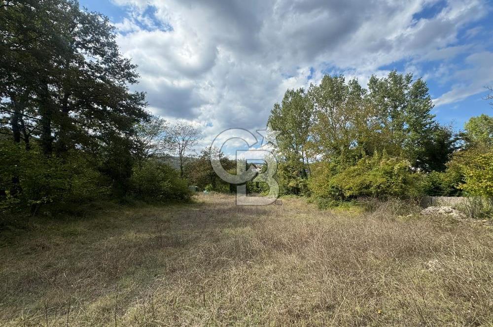 ŞİLE DEĞİRMENÇAYIRINDA 1.373 m² YOLA CEPHELİ TARLA