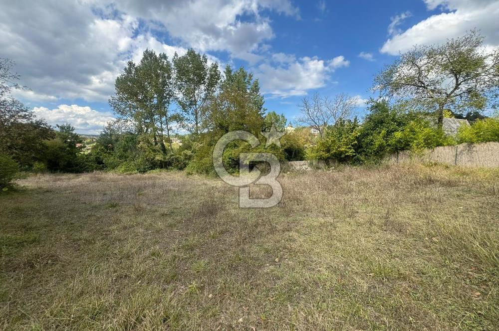 ŞİLE DEĞİRMENÇAYIRINDA 1.373 m² YOLA CEPHELİ TARLA