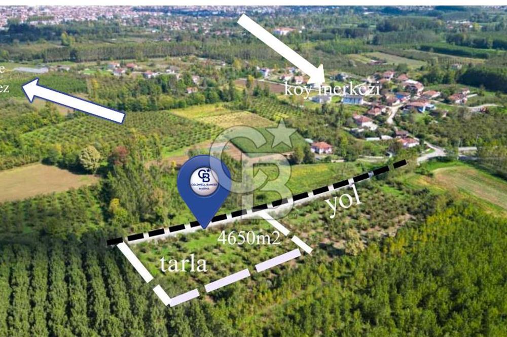 CB MARİNA'DAN DÜZCEDE MERKEZİ LOKASYONDA YATIRIM FIRSATI