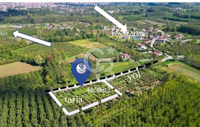 CB MARİNA'DAN DÜZCEDE MERKEZİ LOKASYONDA YATIRIM FIRSATI