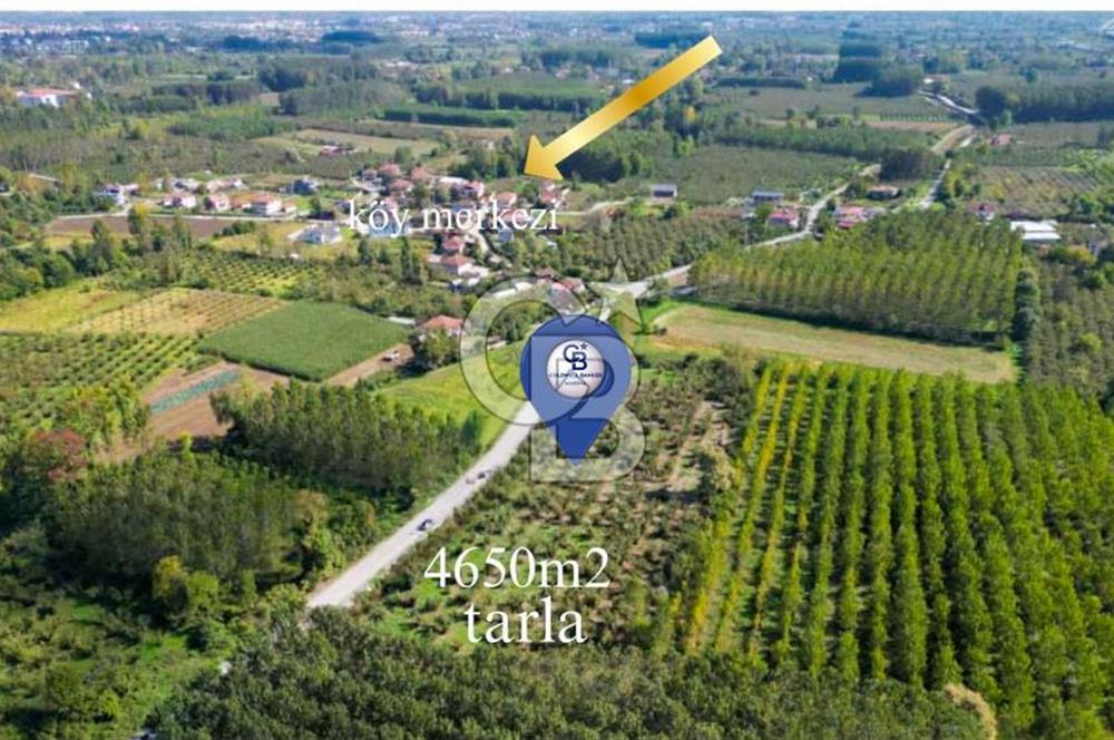 CB MARİNA'DAN DÜZCEDE MERKEZİ LOKASYONDA YATIRIM FIRSATI