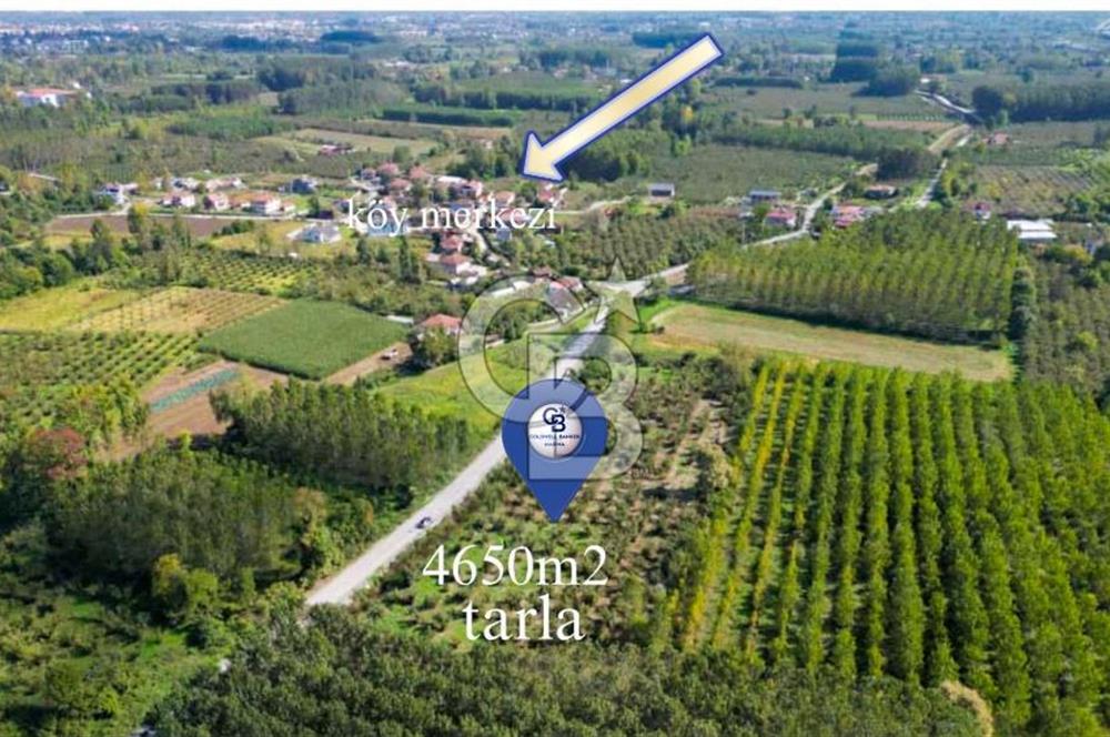 CB MARİNA'DAN DÜZCEDE MERKEZİ LOKASYONDA YATIRIM FIRSATI