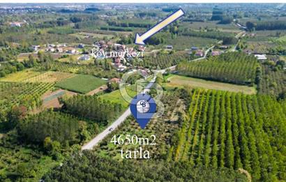 CB MARİNA'DAN DÜZCEDE MERKEZİ LOKASYONDA YATIRIM FIRSATI