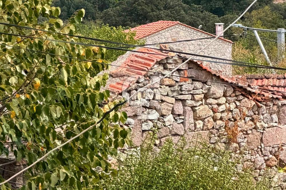 Çanakkale Ayvacık Söğütlü Köy İçi %40 2 Kat İmarlı 297m² Arsa