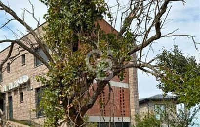 Çanakkale Ayvacık Söğütlü Köy İçi %40 2 Kat İmarlı 297m² Arsa