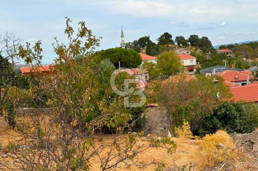 Çanakkale Ayvacık Söğütlü Köy İçi %40 2 Kat İmarlı 297m² Arsa