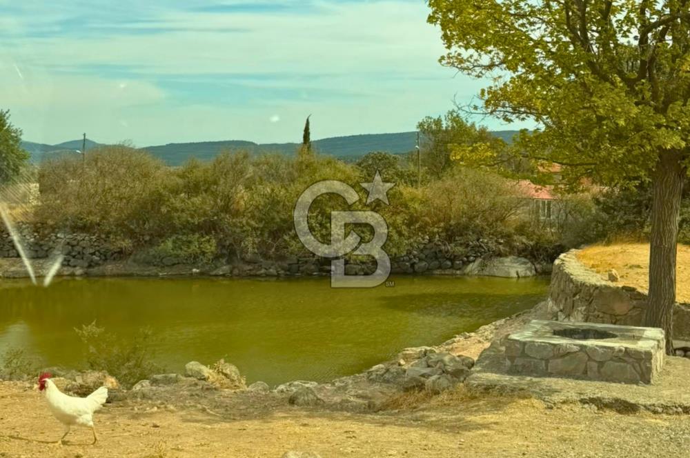 Çanakkale Ayvacık İlyasfakı Etrafı Komple Yol %80 İmarlı Arsa