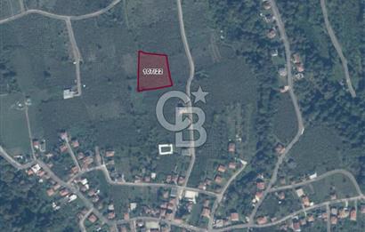 SAKARYA ARİFİYE KIŞLAÇAY'DA SATILIK 2365 M2 FINDIKLIK