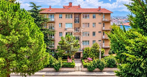 Kükürtlü Mah. Karagöz cad. Yonca Apt 2+1 Kiralık Daire - 375694