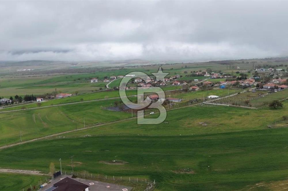 Satilik Arsa Aksaray Merkez'de Imar Sinirinda Kelepir