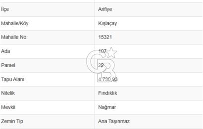SAKARYA ARİFİYE KIŞLAÇAY'DA SATILIK 2365 M2 FINDIKLIK
