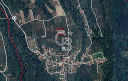 SAKARYA ARİFİYE KIŞLAÇAY'DA SATILIK 2365 M2 FINDIKLIK