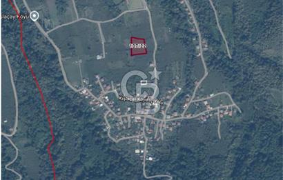 SAKARYA ARİFİYE KIŞLAÇAY'DA SATILIK 2365 M2 FINDIKLIK