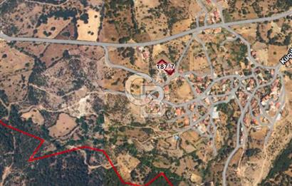 Çanakkale Ayvacık Küçükhusun Harika Doğa ve Baraj Manzaralı Arsa