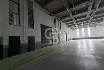HADIMKÖY'DE SATILIK 18.000 m² HER KATTA TIR GİRİŞİ DEPO/FABRİKA - 10 - 375723
