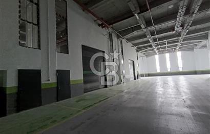 HADIMKÖY'DE SATILIK 18.000 m² HER KATTA TIR GİRİŞİ DEPO/FABRİKA