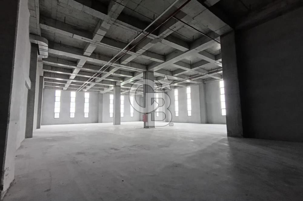 HADIMKÖY'DE KİRALIK 18.000 m² HER KATTA TIR GİRİŞİ DEPO/FABRİKA