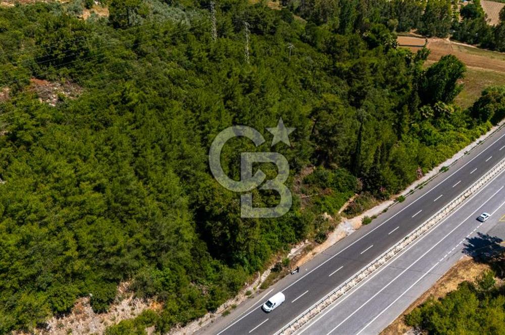 CB MARİNA'DAN AKÇAPINAR'DA GÖKOVA-MARMARİS YOLU ÜZERİ ZEYTİNLİK