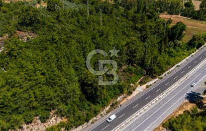 CB MARİNA'DAN AKÇAPINAR'DA GÖKOVA-MARMARİS YOLU ÜZERİ ZEYTİNLİK
