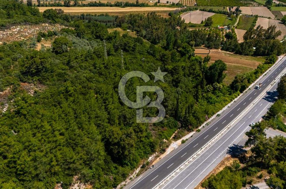CB MARİNA'DAN AKÇAPINAR'DA GÖKOVA-MARMARİS YOLU ÜZERİ ZEYTİNLİK