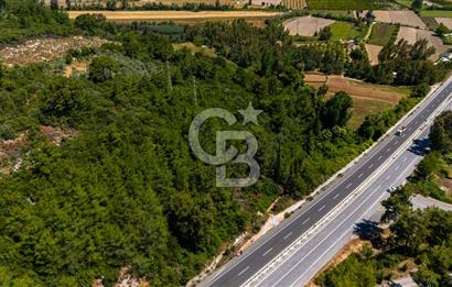CB MARİNA'DAN AKÇAPINAR'DA GÖKOVA-MARMARİS YOLU ÜZERİ ZEYTİNLİK