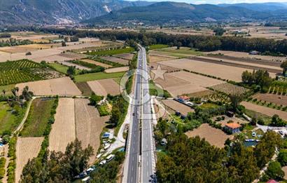 CB MARİNA'DAN AKÇAPINAR'DA GÖKOVA-MARMARİS YOLU ÜZERİ ZEYTİNLİK