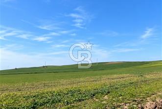 ÇANAKKALE GELİBOLU DA 3713 M2 SATILIK TARLA - 9 - 375737