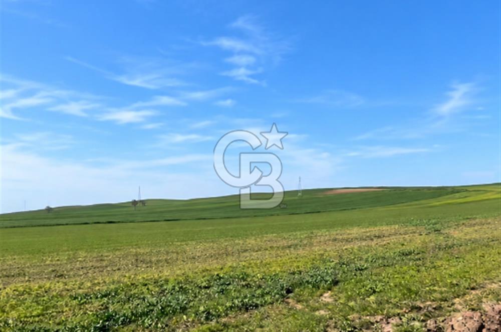 ÇANAKKALE ECEABAT KUMKÖYDE SATILIK 6.762 M2 TARLA
