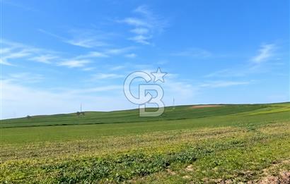 ÇANAKKALE ECEABAT KUMKÖYDE SATILIK 6.762 M2 TARLA