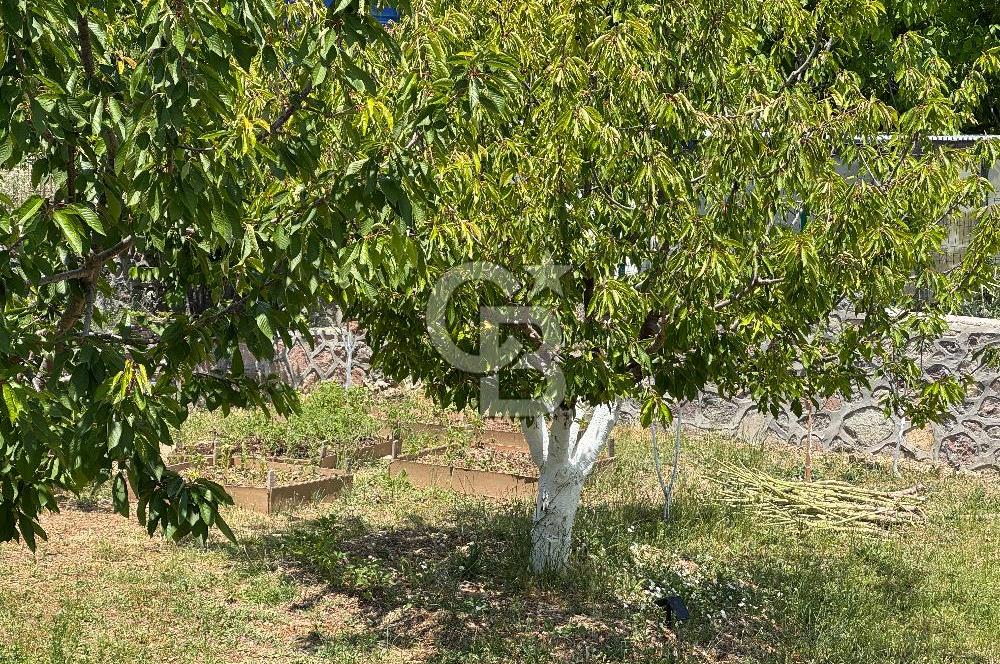Bornova yakada 365 metre kare satılık tarla