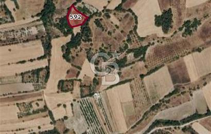 balıkesir de arsa