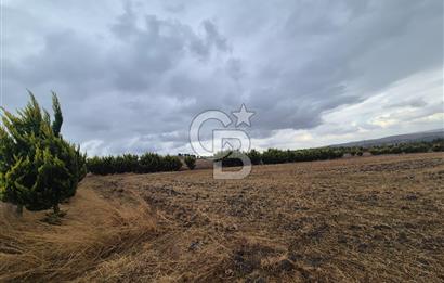 KUMBURGAZ GİŞELERİ YANINDA 7.500 M² VİLLA İMARLI SATILIK ARSA