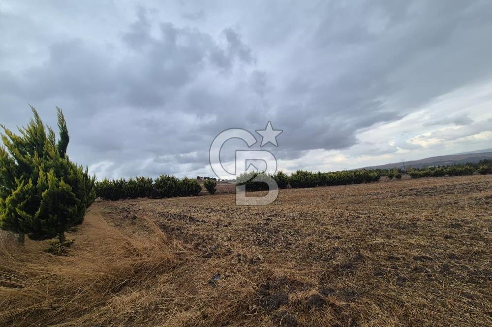 KUMBURGAZ GİŞELERİ YANINDA 7.500 M² VİLLA İMARLI SATILIK ARSA