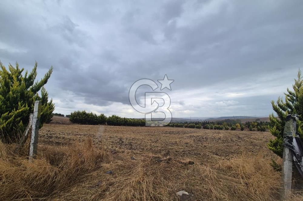KUMBURGAZ GİŞELERİ YANINDA 7.500 M² VİLLA İMARLI SATILIK ARSA