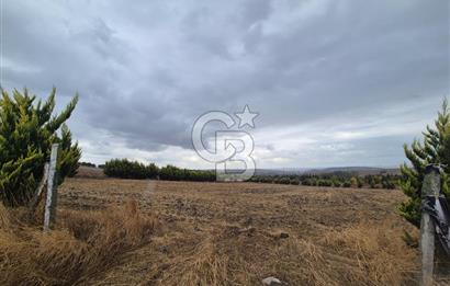 KUMBURGAZ GİŞELERİ YANINDA 7.500 M² VİLLA İMARLI SATILIK ARSA