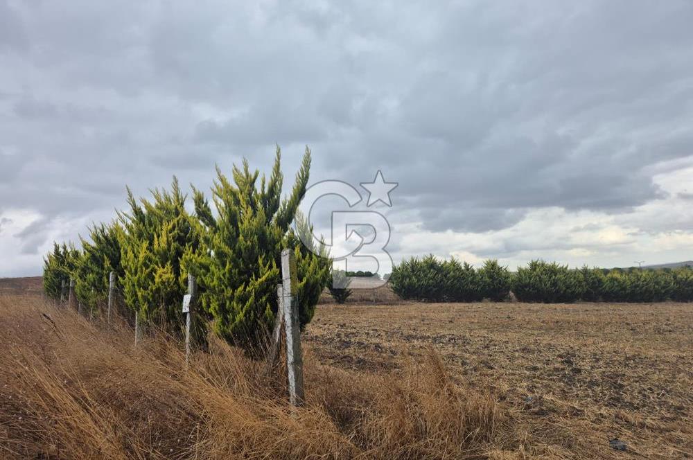 KUMBURGAZ GİŞELERİ YANINDA 7.500 M² VİLLA İMARLI SATILIK ARSA
