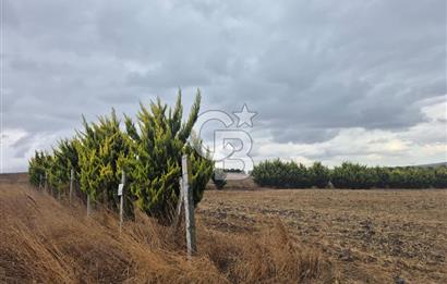 KUMBURGAZ GİŞELERİ YANINDA 7.500 M² VİLLA İMARLI SATILIK ARSA