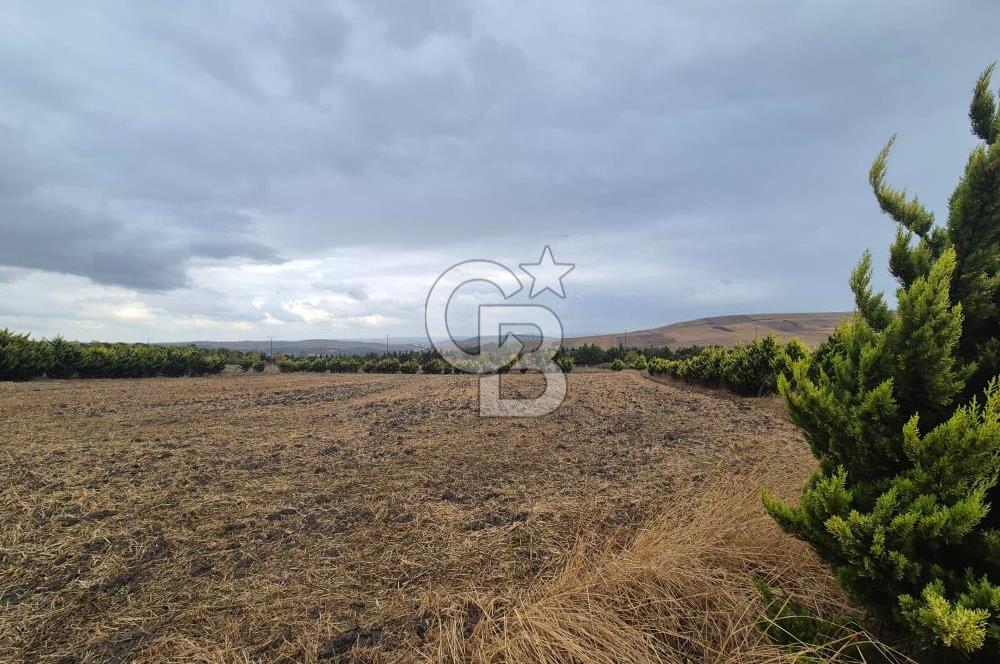 KUMBURGAZ GİŞELERİ YANINDA 7.500 M² VİLLA İMARLI SATILIK ARSA