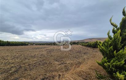 KUMBURGAZ GİŞELERİ YANINDA 7.500 M² VİLLA İMARLI SATILIK ARSA