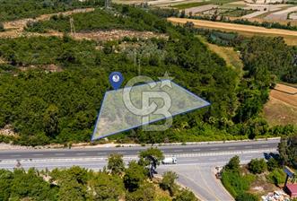 CB MARİNA'DAN AKÇAPINAR'DA GÖKOVA-MARMARİS YOLU ÜZERİ ZEYTİNLİK - 3 - 375771