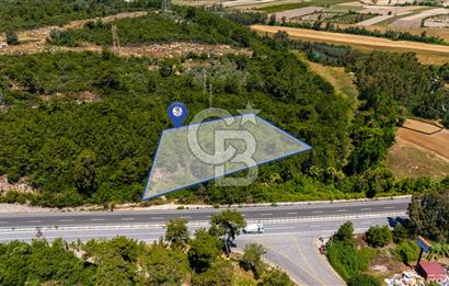 CB MARİNA'DAN AKÇAPINAR'DA GÖKOVA-MARMARİS YOLU ÜZERİ ZEYTİNLİK