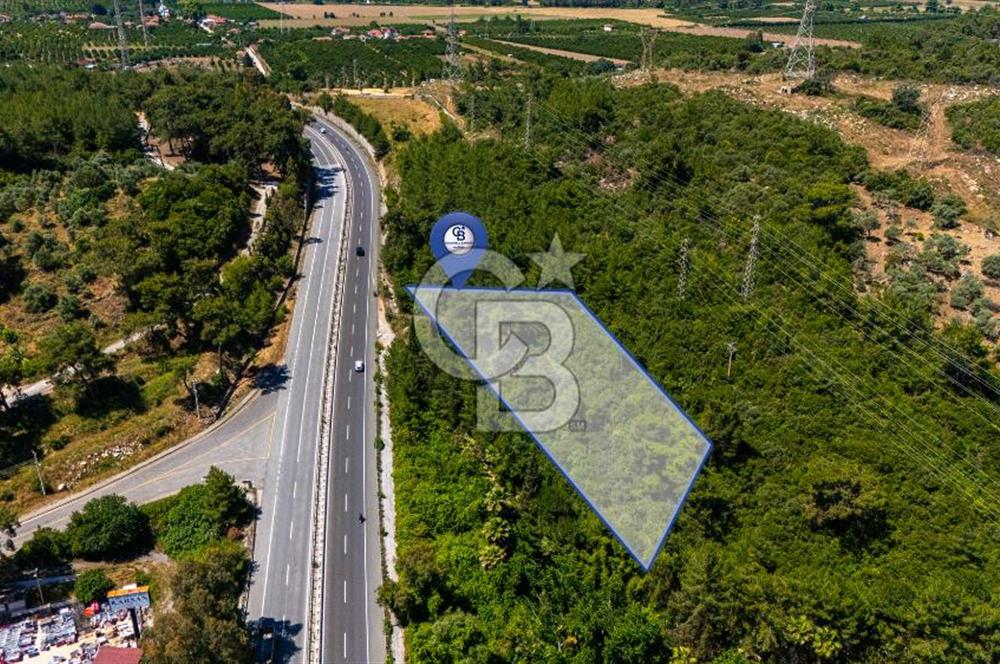CB MARİNA'DAN AKÇAPINAR'DA GÖKOVA-MARMARİS YOLU ÜZERİ ZEYTİNLİK
